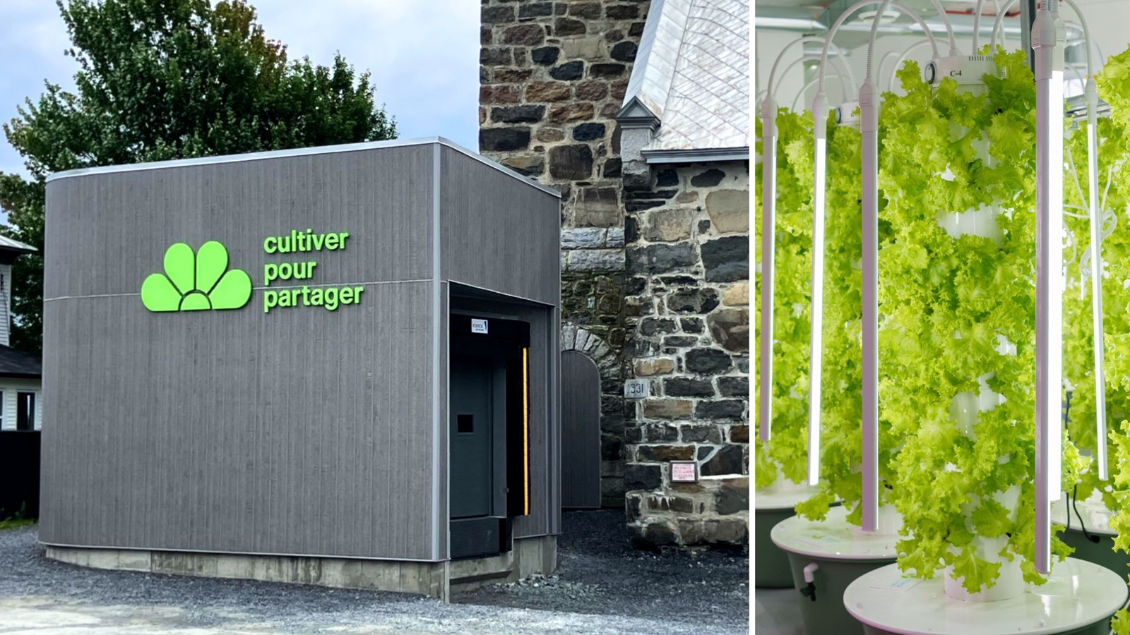 Journée «portes ouvertes» au Complexe maraîcher philanthropique de Saint-Alfred