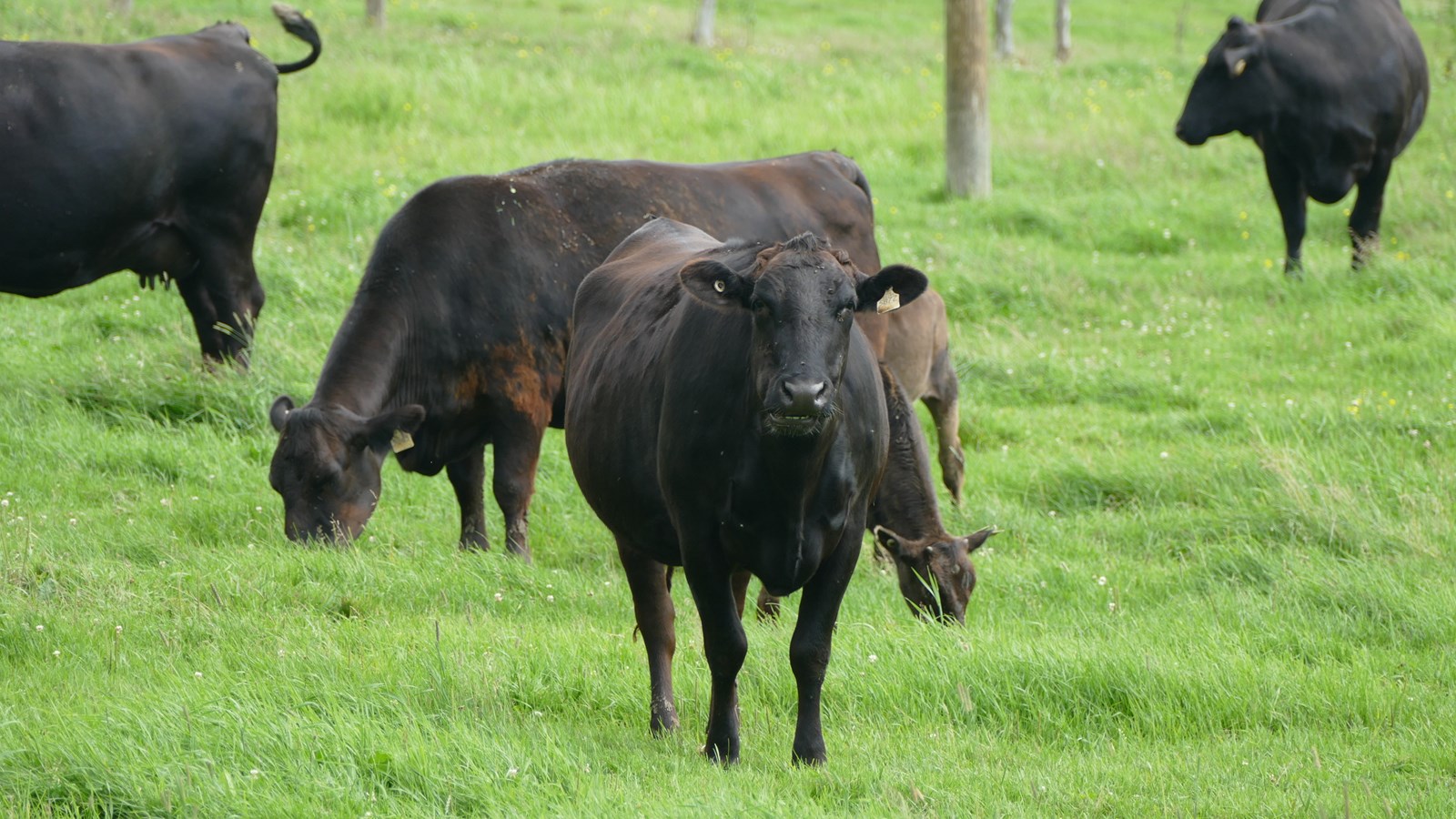 Portes ouvertes Mangeons local : 2 000 visiteurs en Chaudière-Appalaches