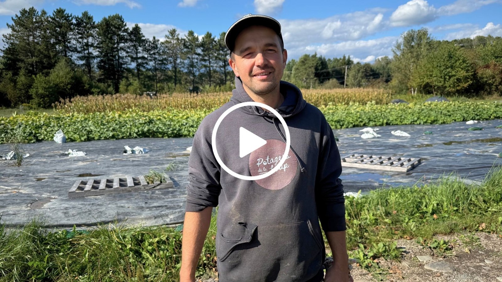 Riz, gingembre et passion maraîchère : le pari de Pier-Luc Poulin