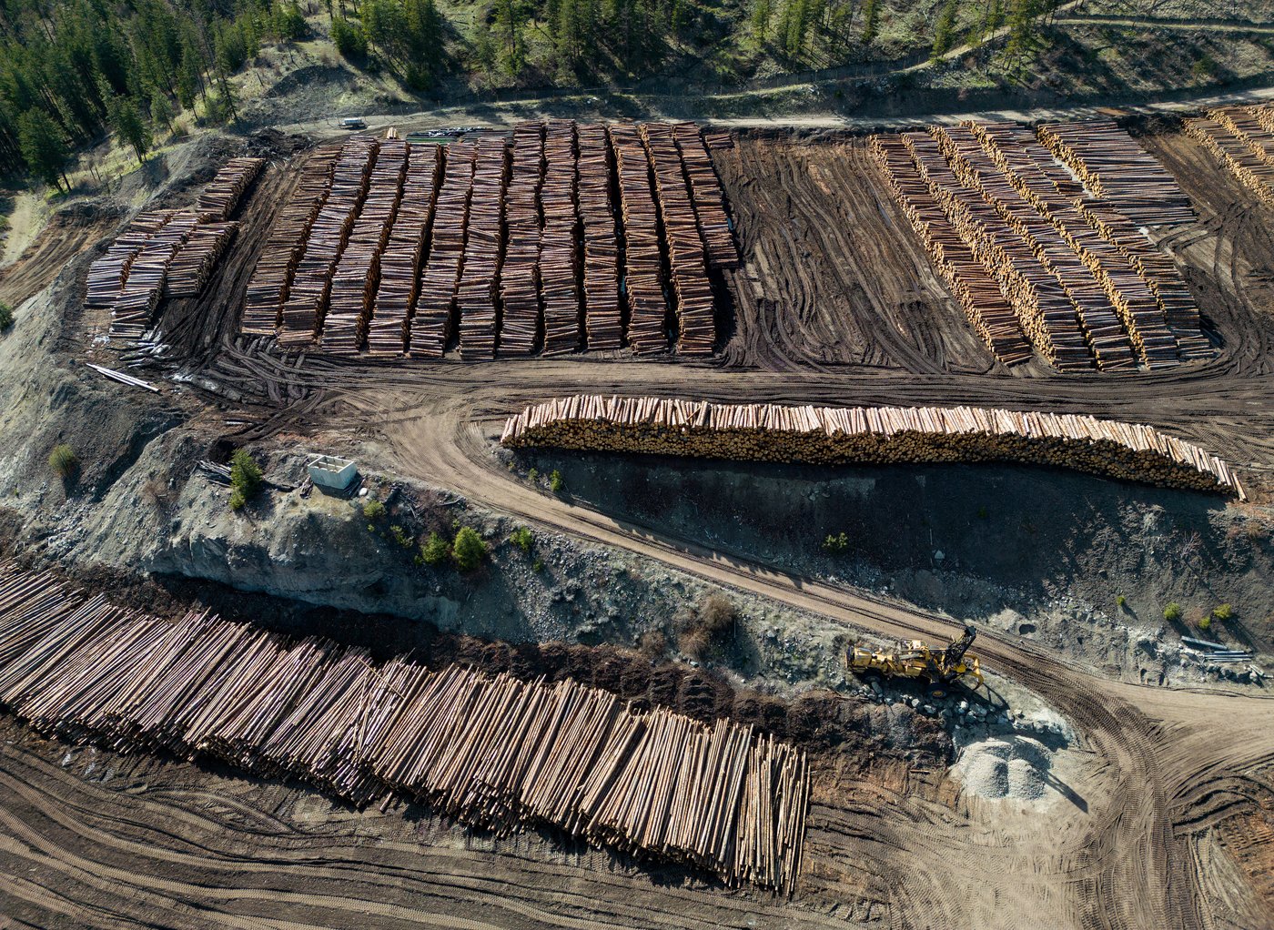 Bois d’œuvre: le Canada abandonne deux contestations face aux États-Unis