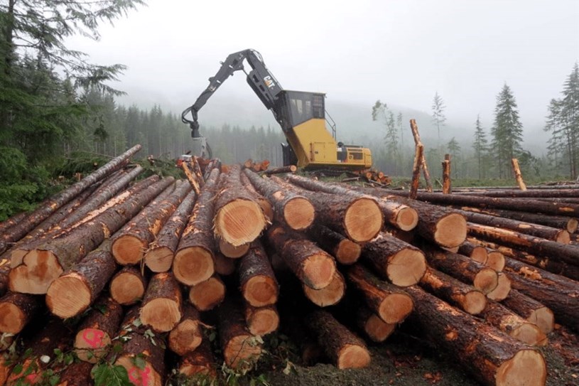 Québec abandonne sa réforme controversée du régime forestier