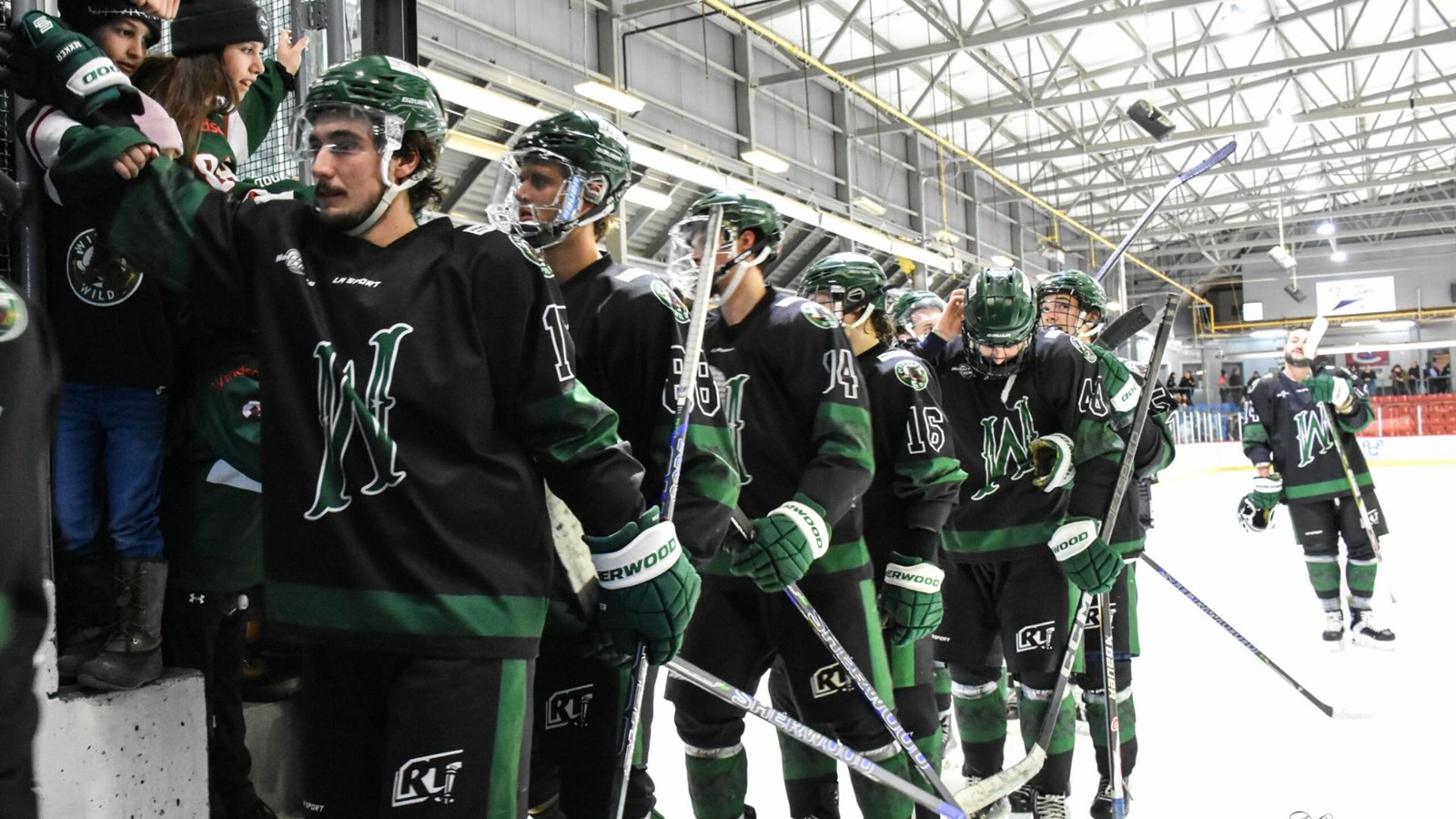 Windsor s’approche à un point de la tête