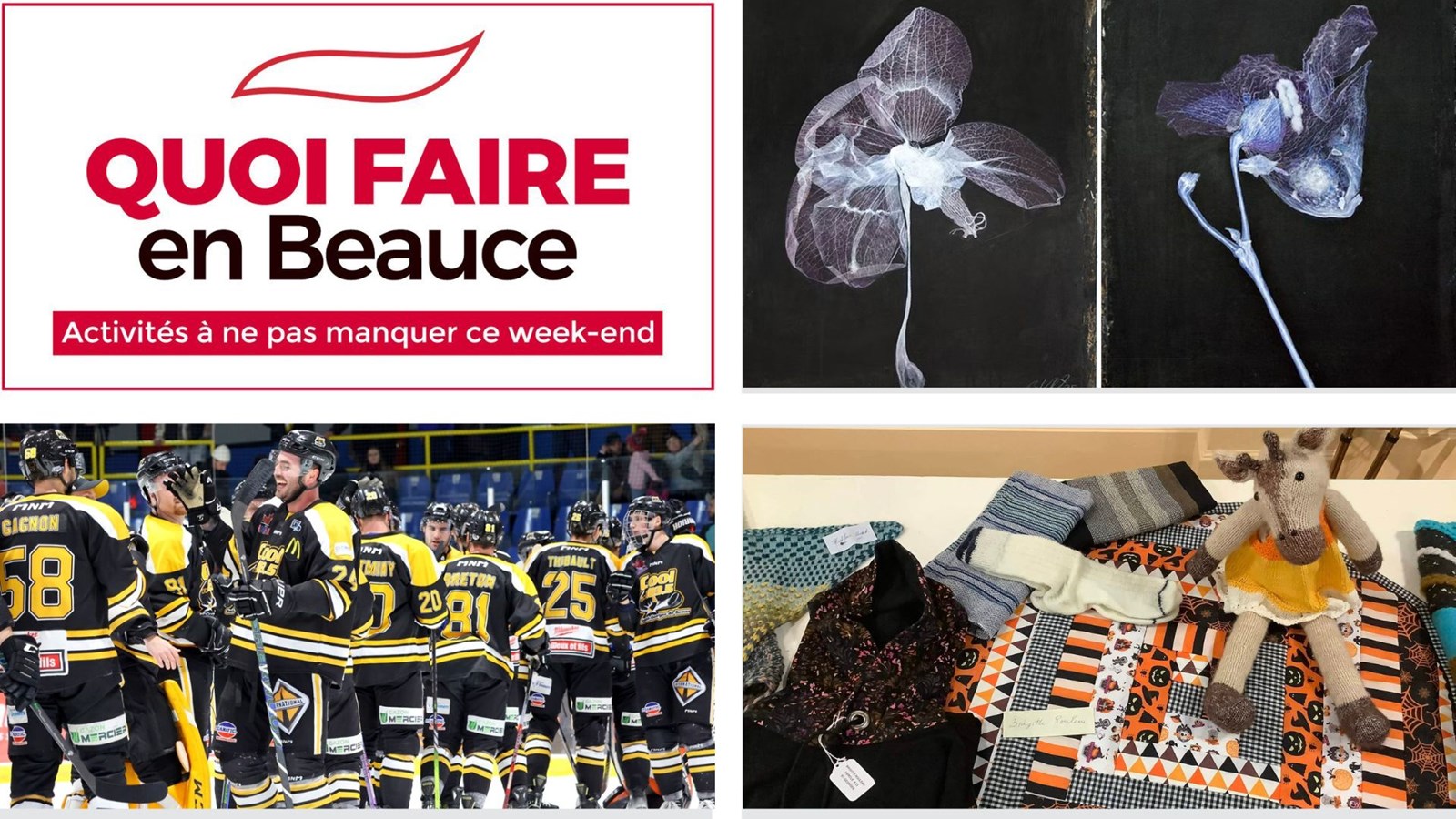 Quoi faire en Beauce du 30 janvier au 1er février?