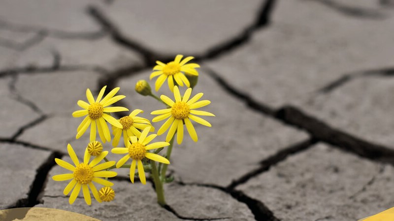 Une vague jaune pour la Semaine de prévention du suicide