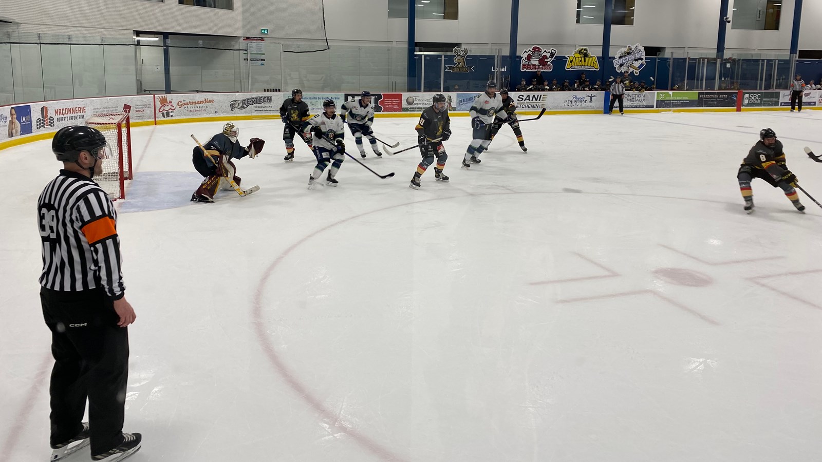Fin de la saison régulière pour la Ligue de hockey Côte-Sud
