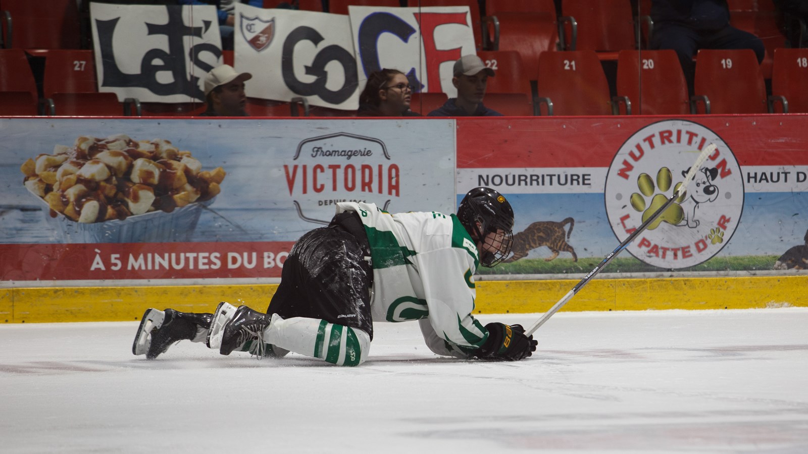 Les Condors s’inclinent face aux meneurs malgré un effort soutenu