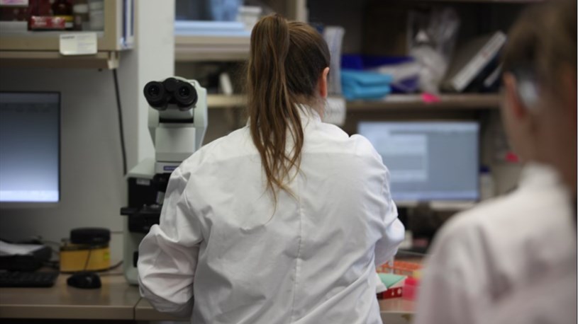 Plus de 150 emplois étudiants offerts cet été au CISSS de Chaudière-Appalaches