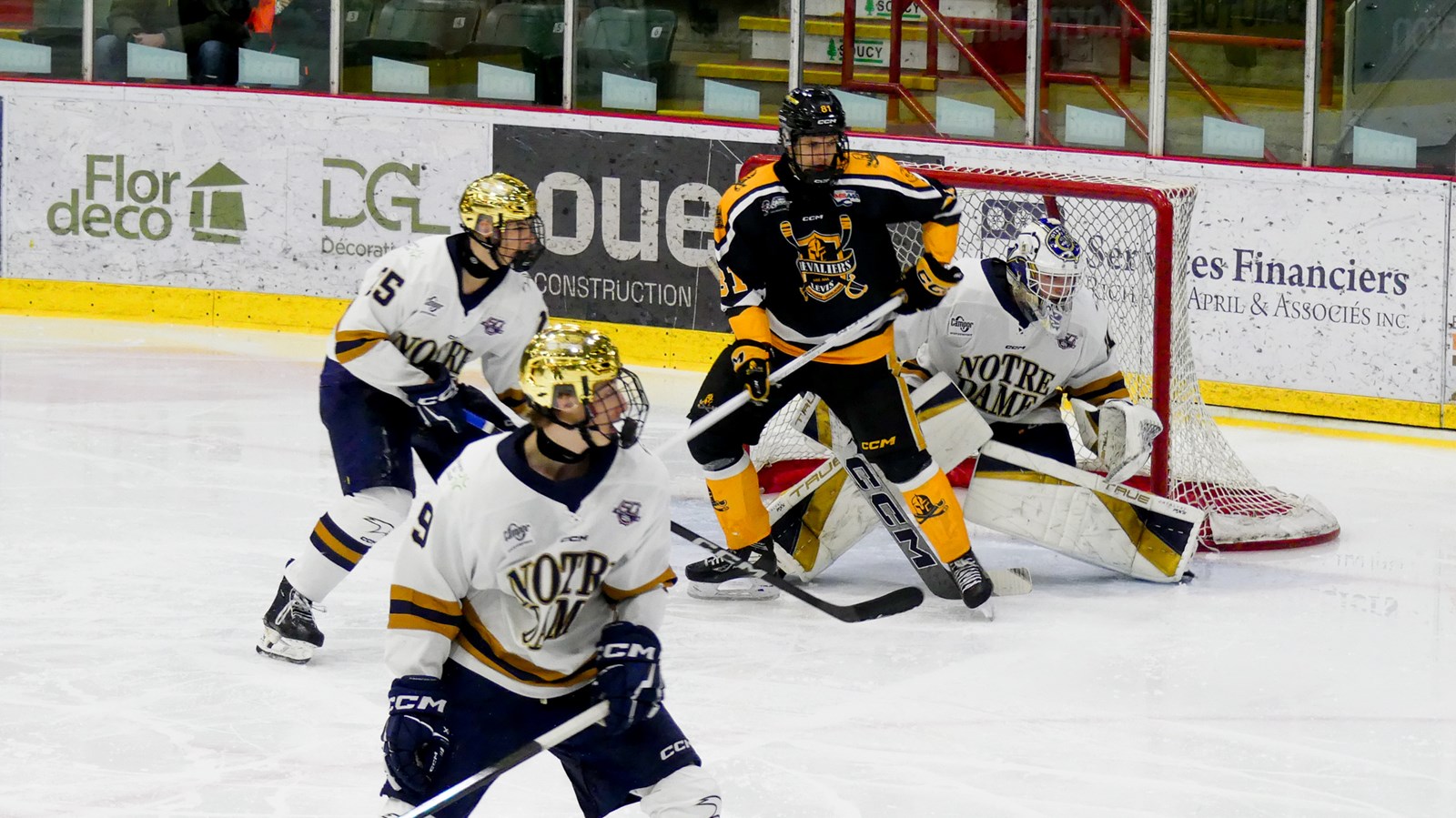 Les Chevaliers s’envolent vers le prochain tour