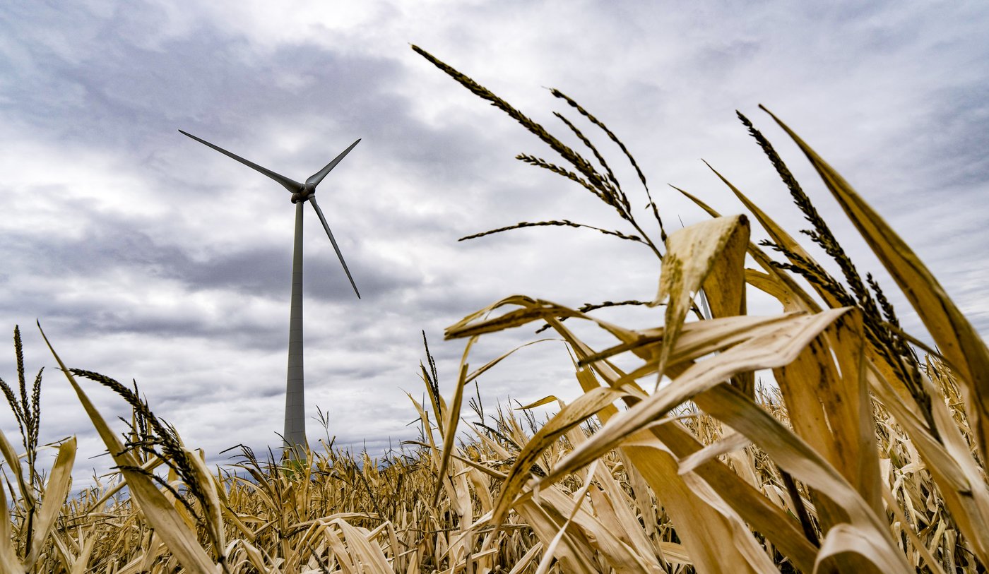 Des agriculteurs demandent à Hydro-Québec de suspendre son appel d'offres éolien