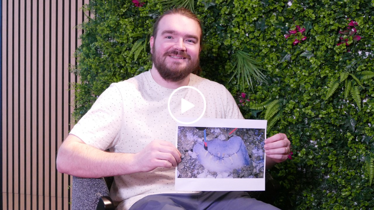 Un jeune expert s'exprime sur la découverte archéologique à Saint-Georges