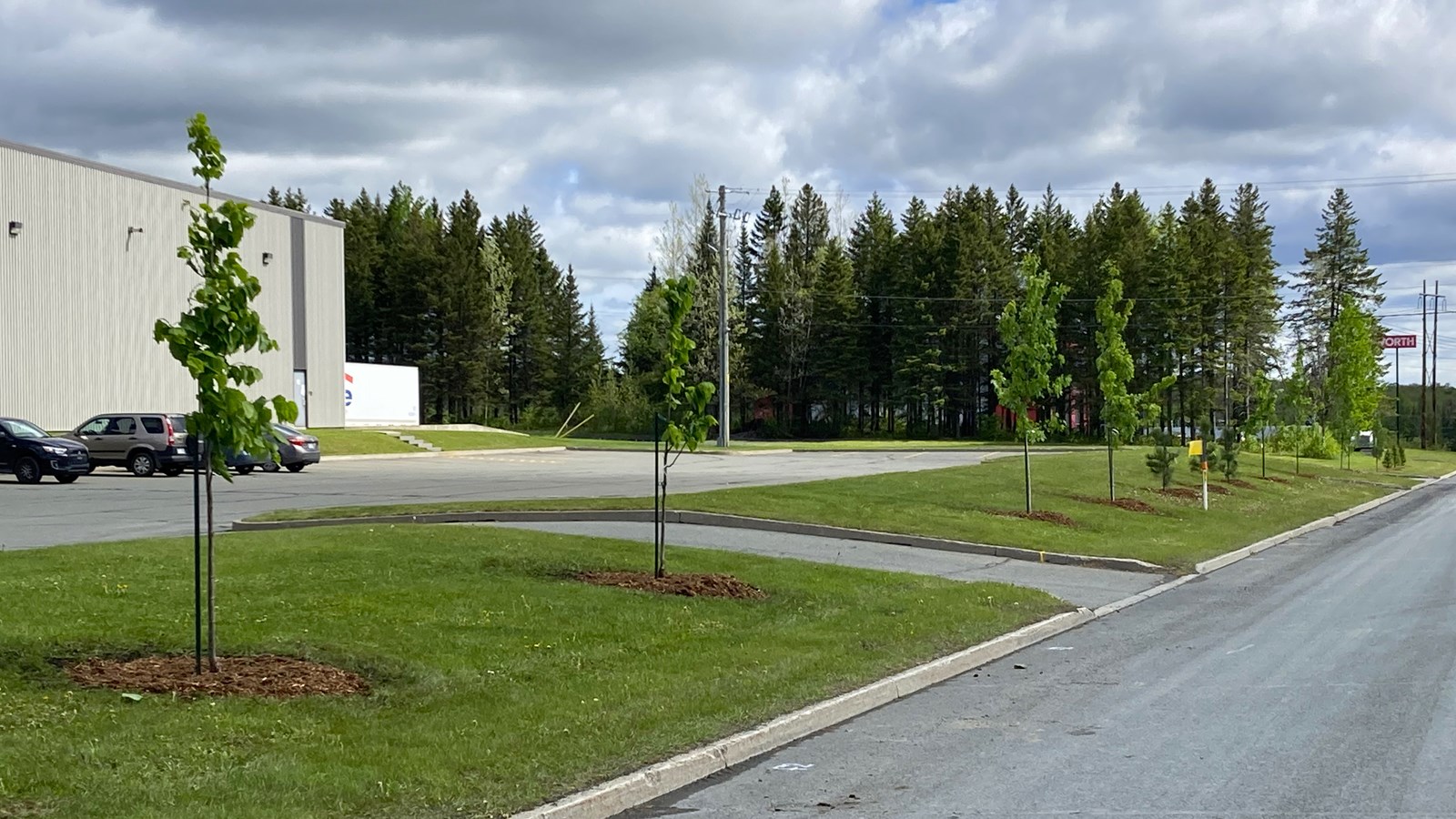 Retour du Programme de verdissement – volet Plantation d’arbres