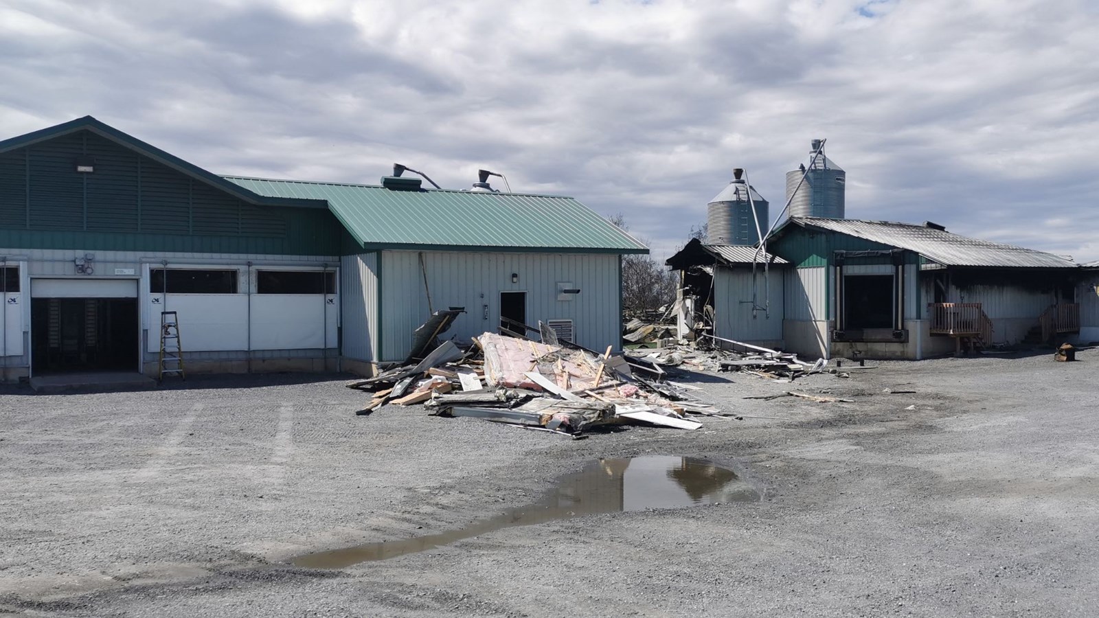Un poulailler ravagé par les flammes
