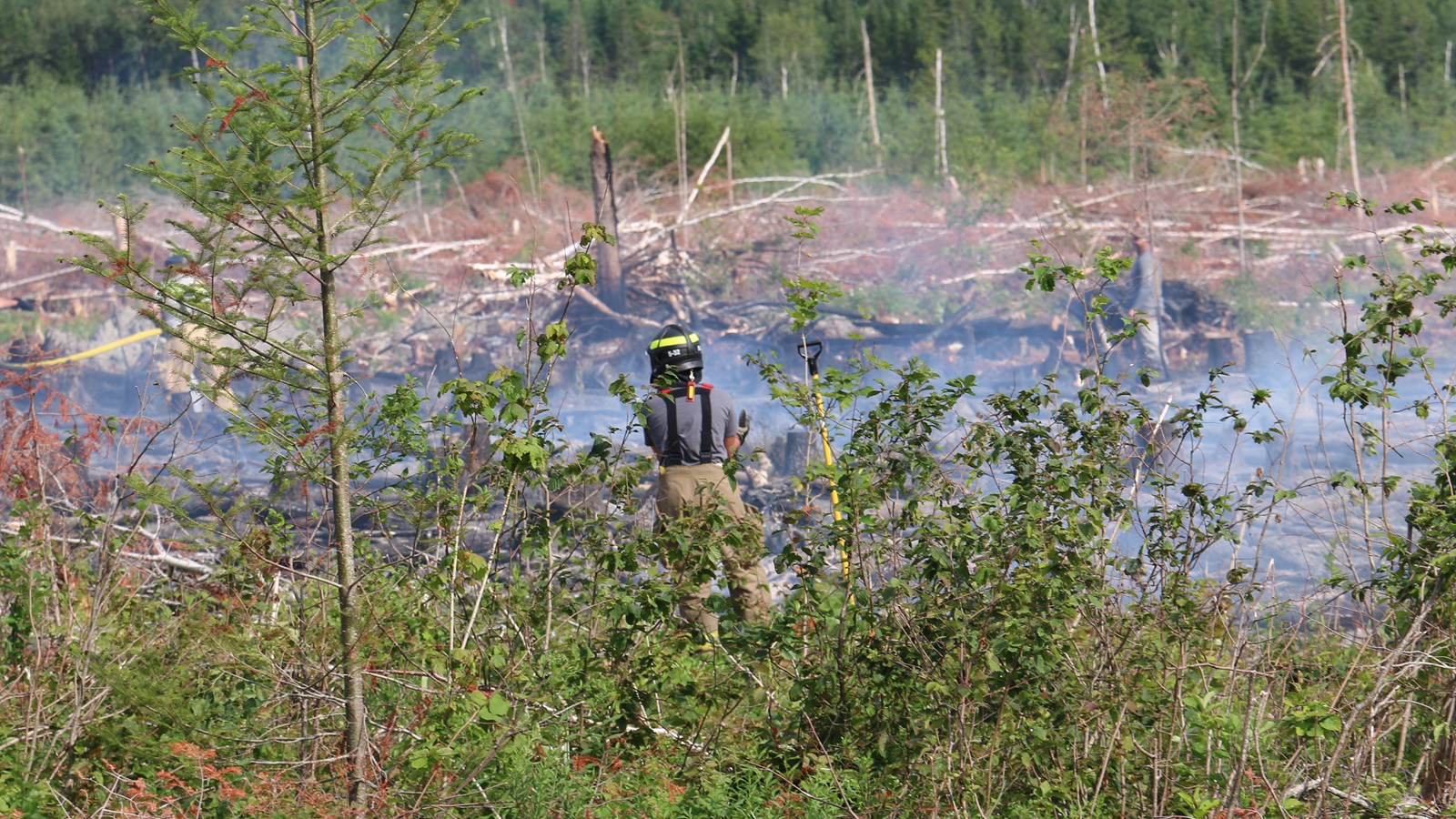 Feux de forêt: une fin de semaine à haut risque dans la région