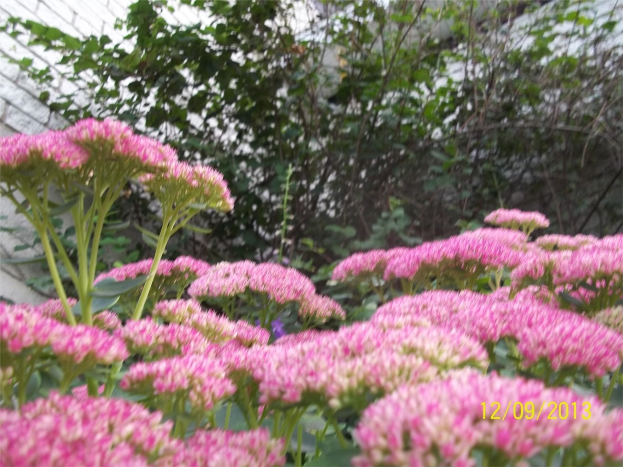 BEAUTÉ AUTOMNE 2013