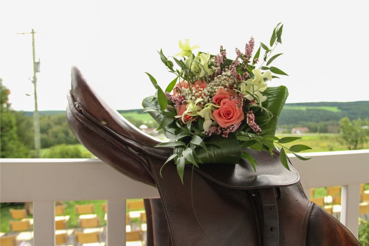 On se Marie à Dos de Cheval!