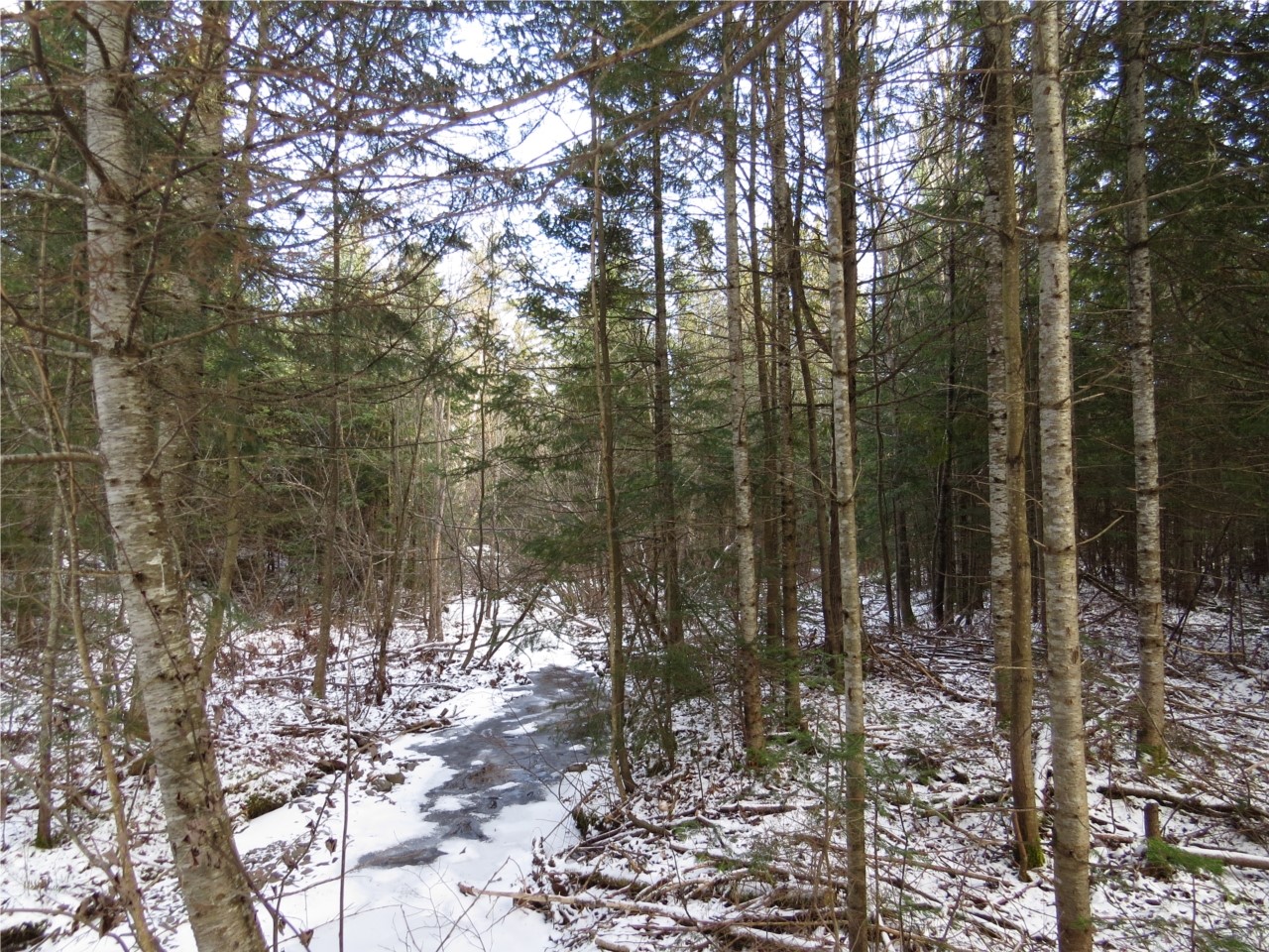 l.hiver c'est la saison du recueillement de la terre