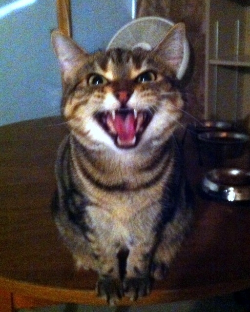 Ça va faire la pluie !