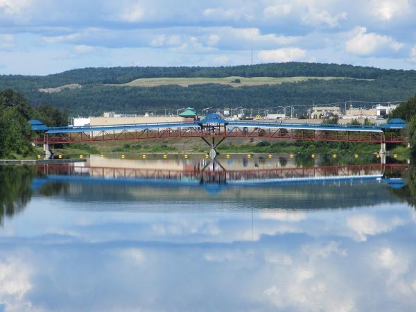 Miroir d'une rivière