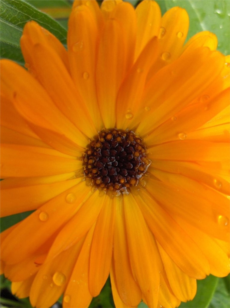 Soleil après la pluie