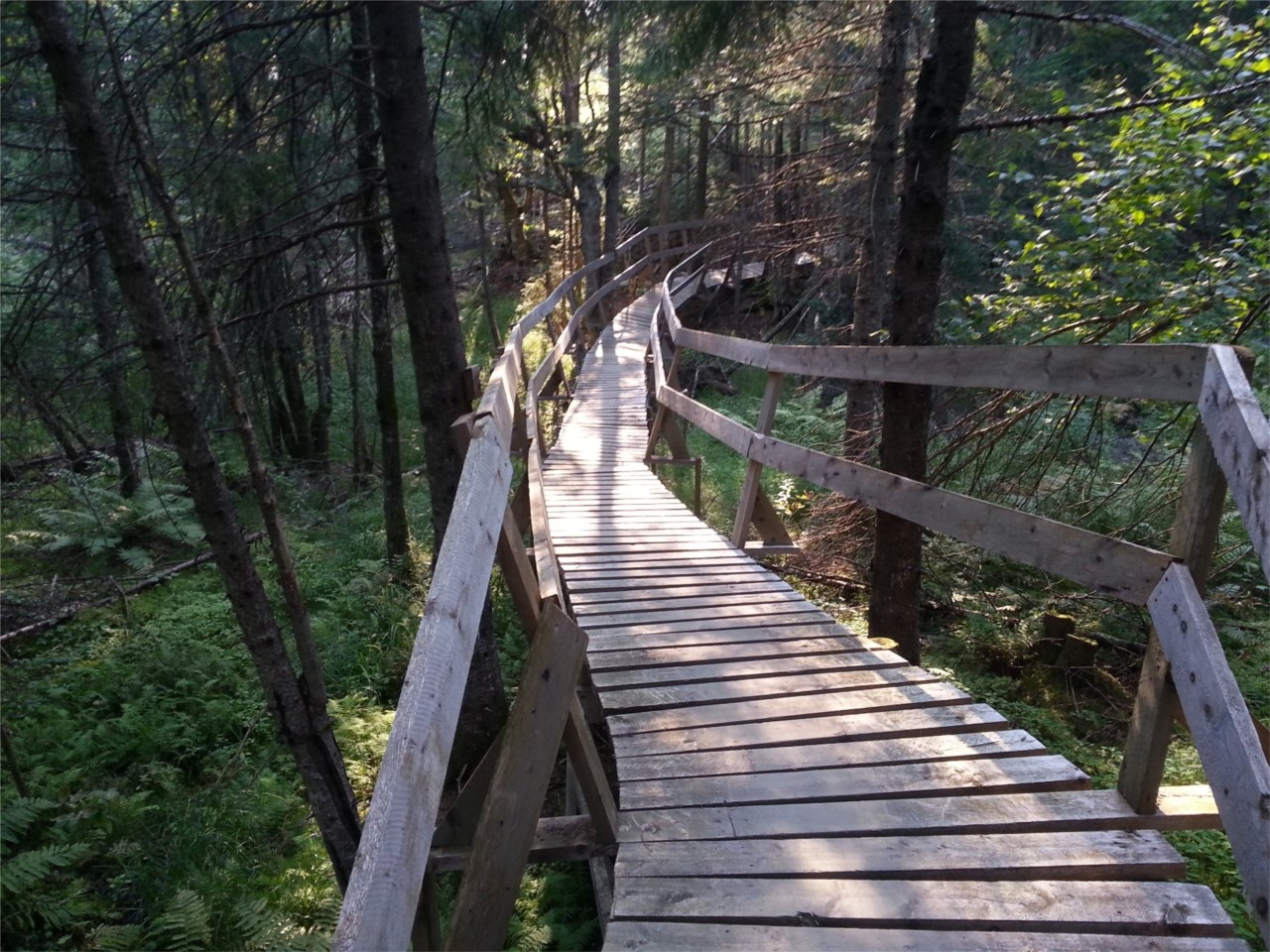 Sentier vélo de montagne East-Hereford