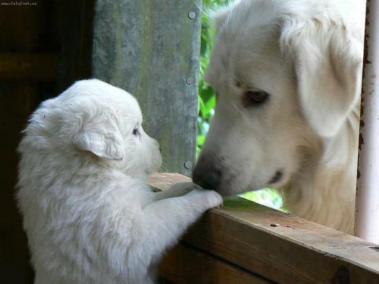 Un regard qui en dit long ! 