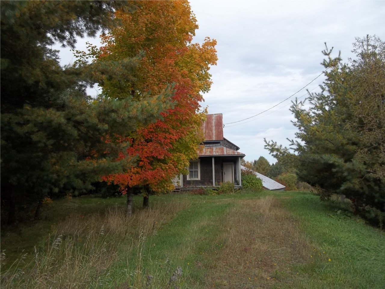 AUTOMNE QUAND TU REVIES