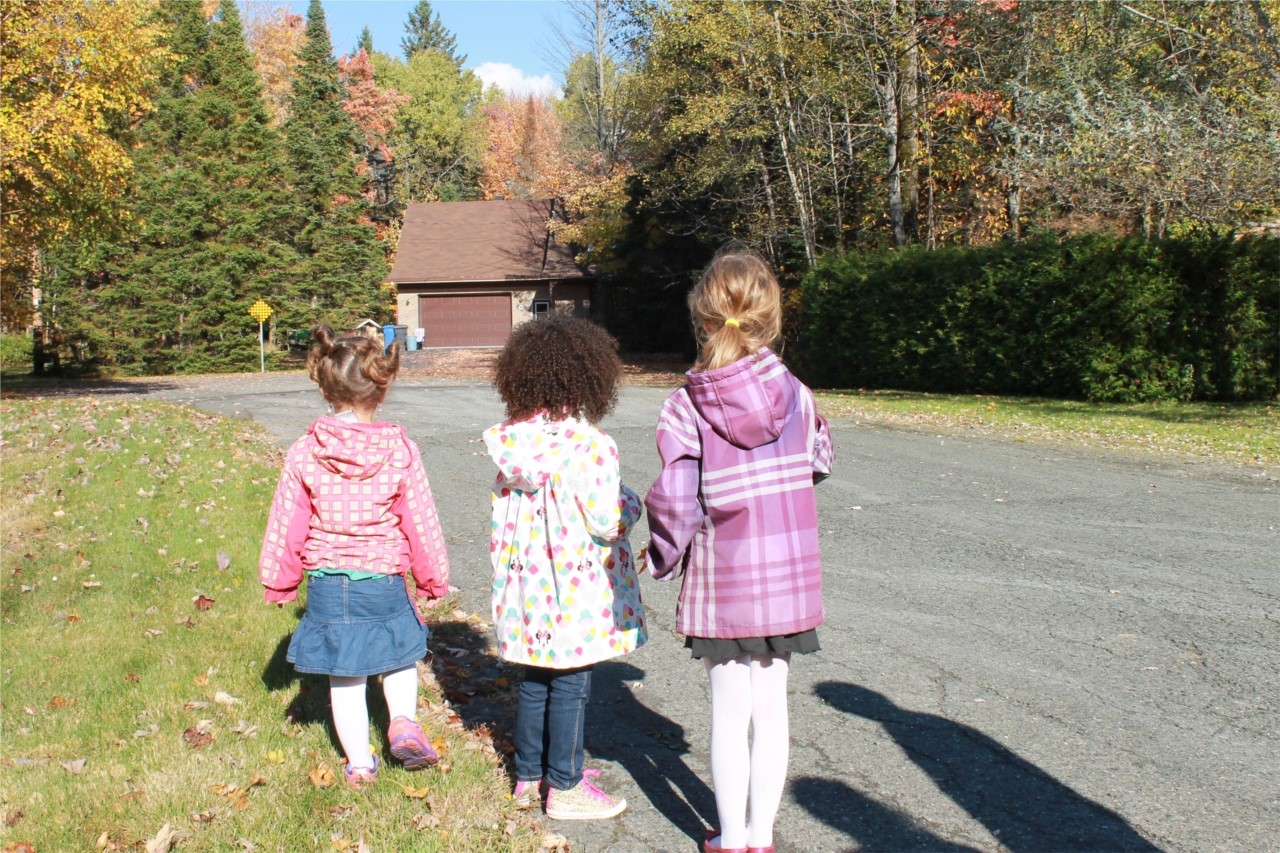 cueillette des feuilles d'automne