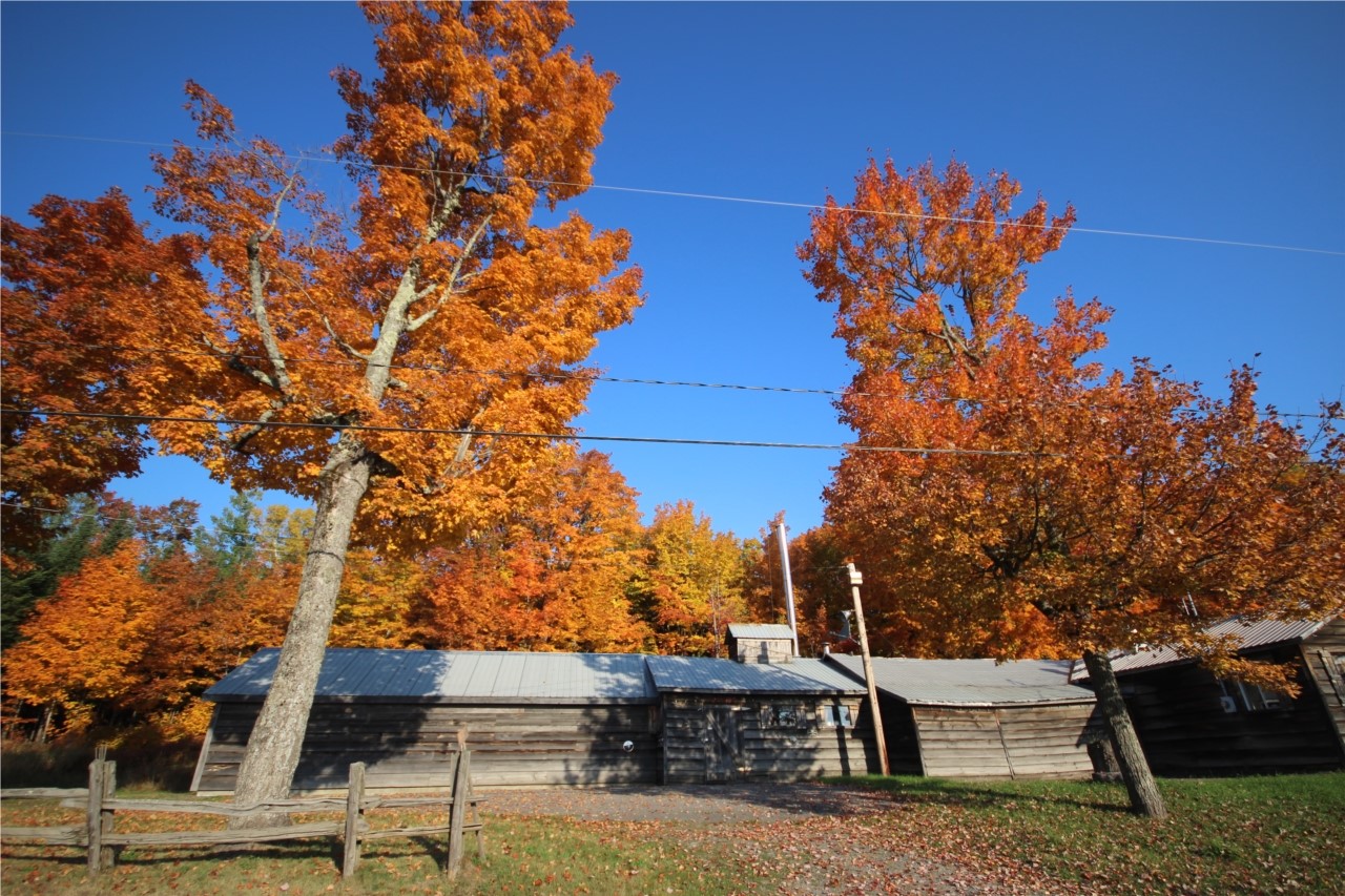 la cabane des Gagnon 