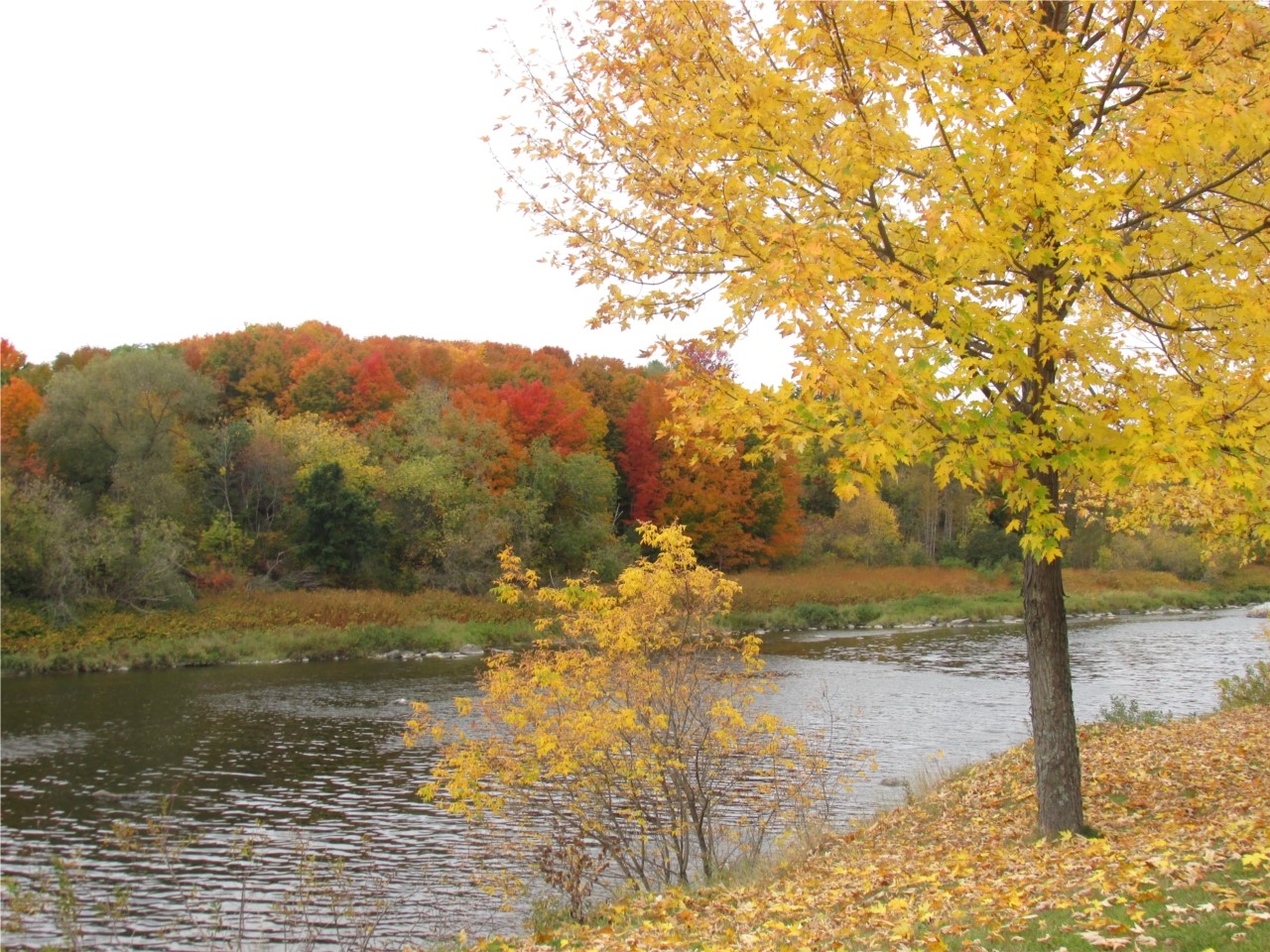 La Chaudière s'infiltre dans Saint-Georges
