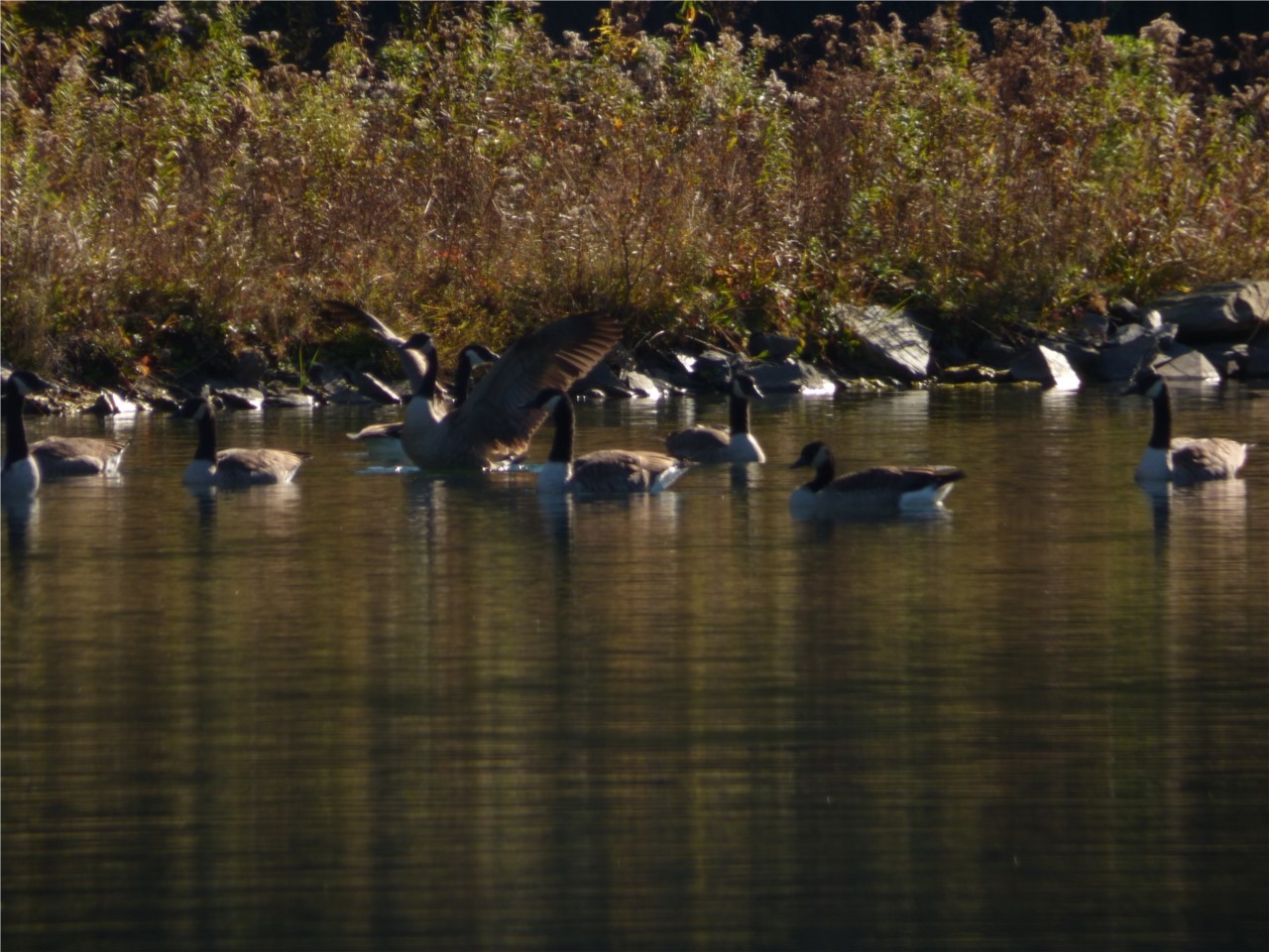 Pret pour le départ