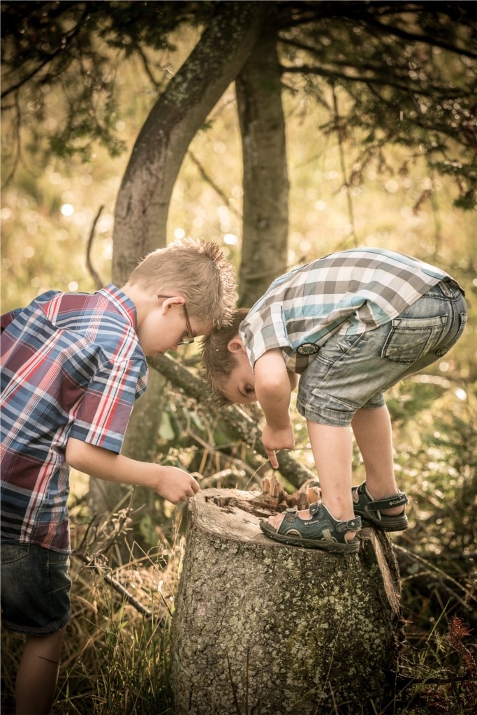 St-Elzéar de Beauce