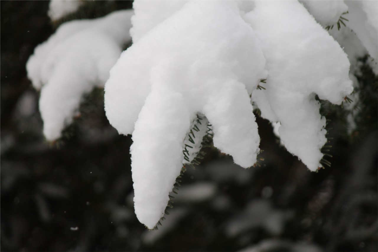 mon pays c'est l'hiver