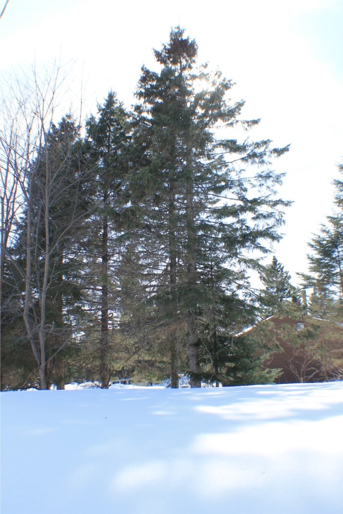 il ne faut pas se décourager