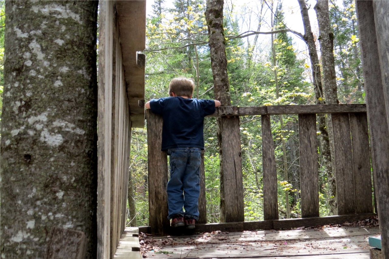 l'enfant et la maison dans l'arbre