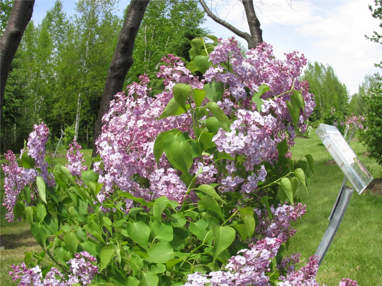 Parfumerie de l'ile Pozer