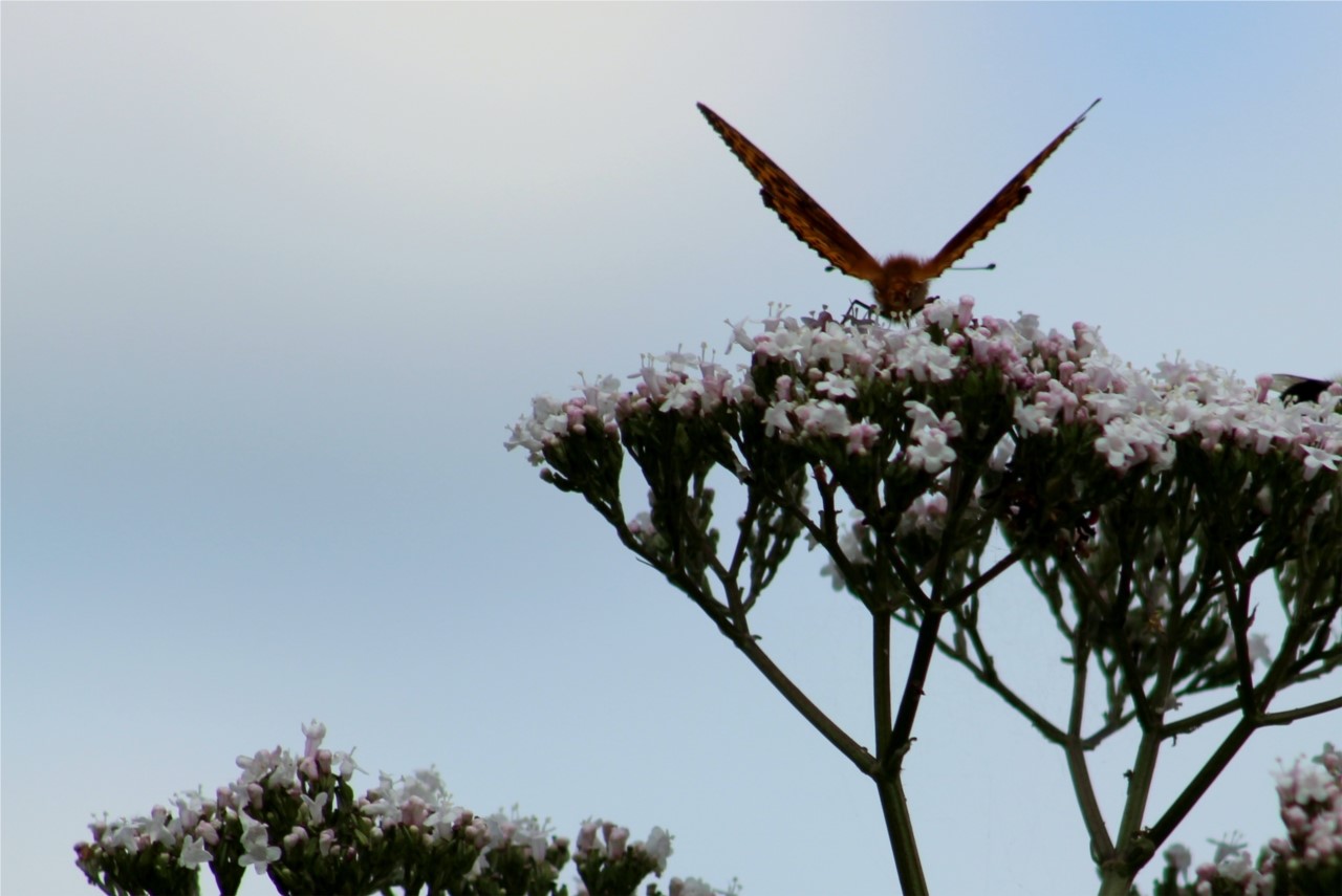 la beauté du moment