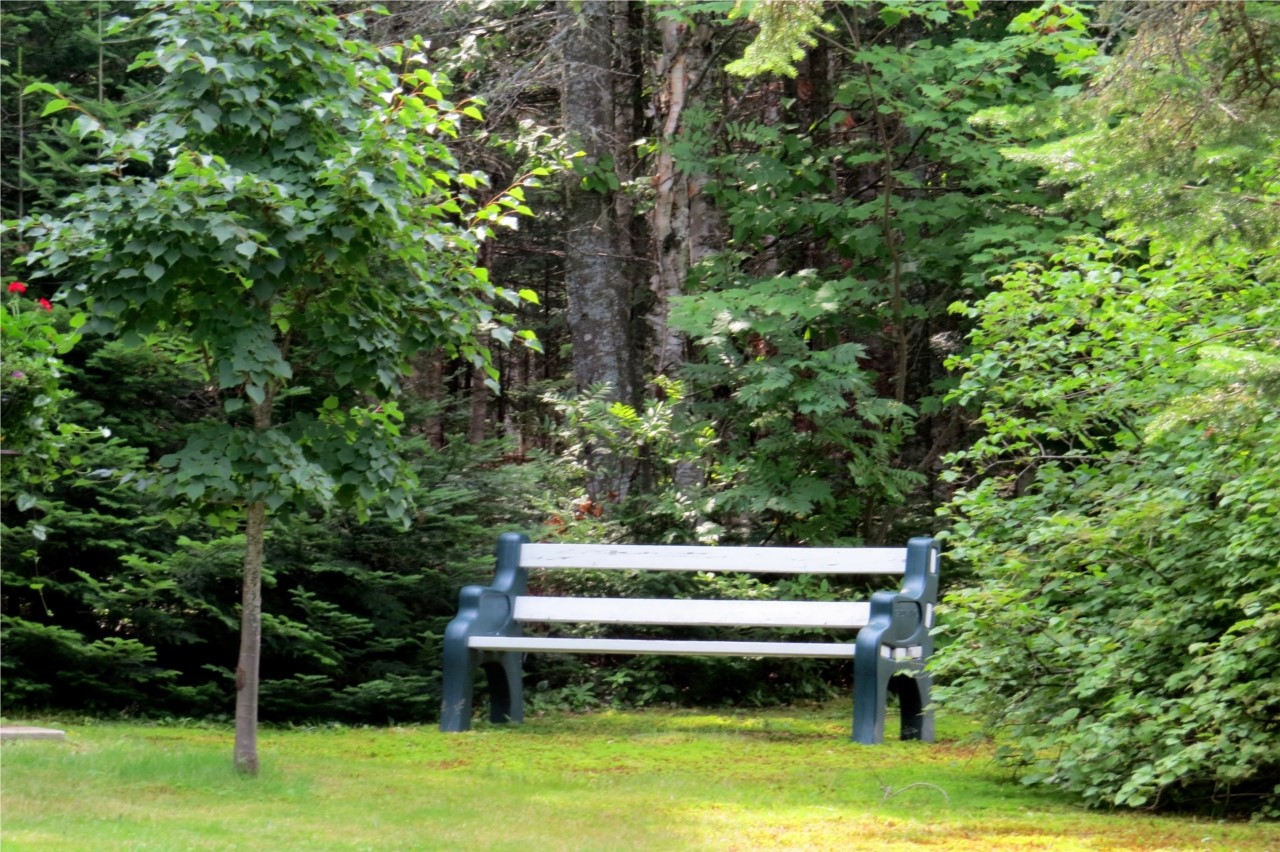 un temps de saison pour contempler