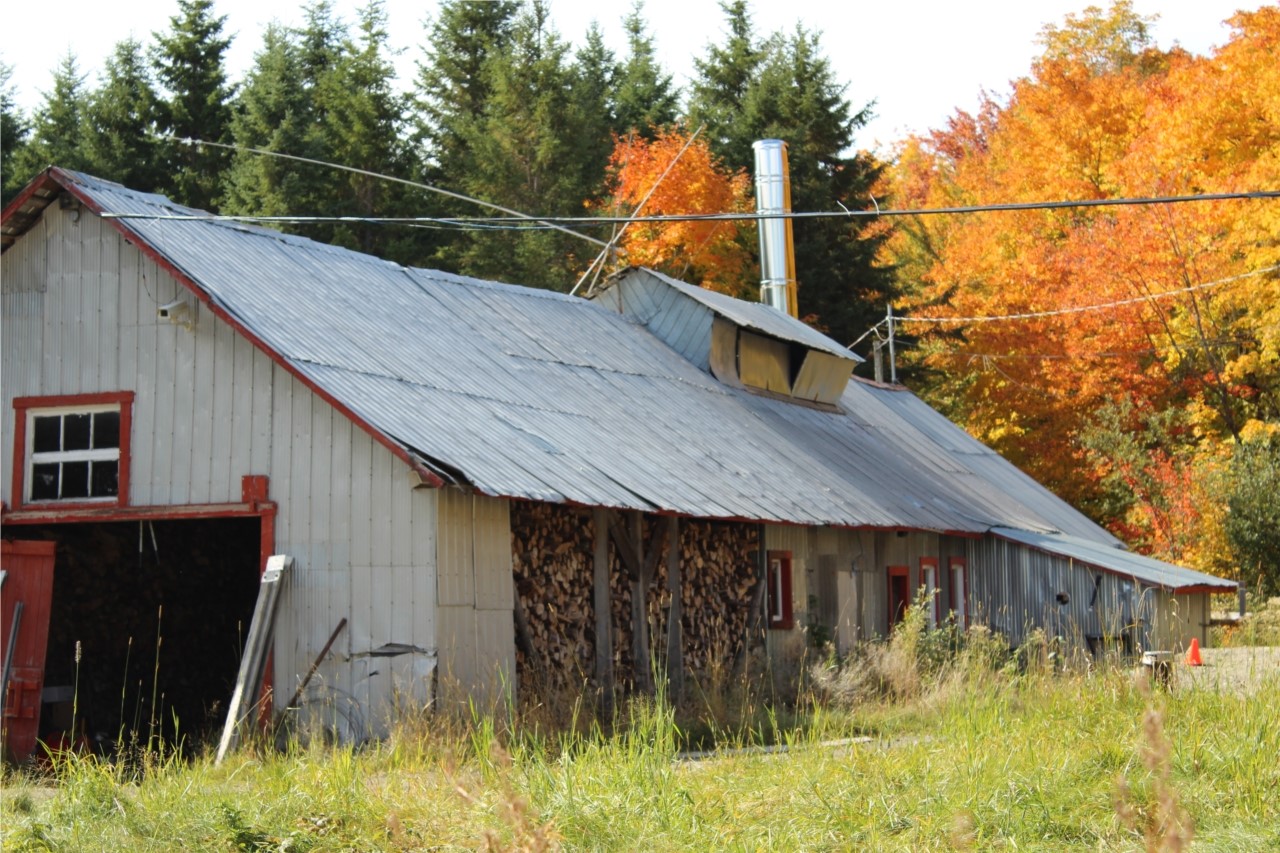 Automne  sucrerie Larouche