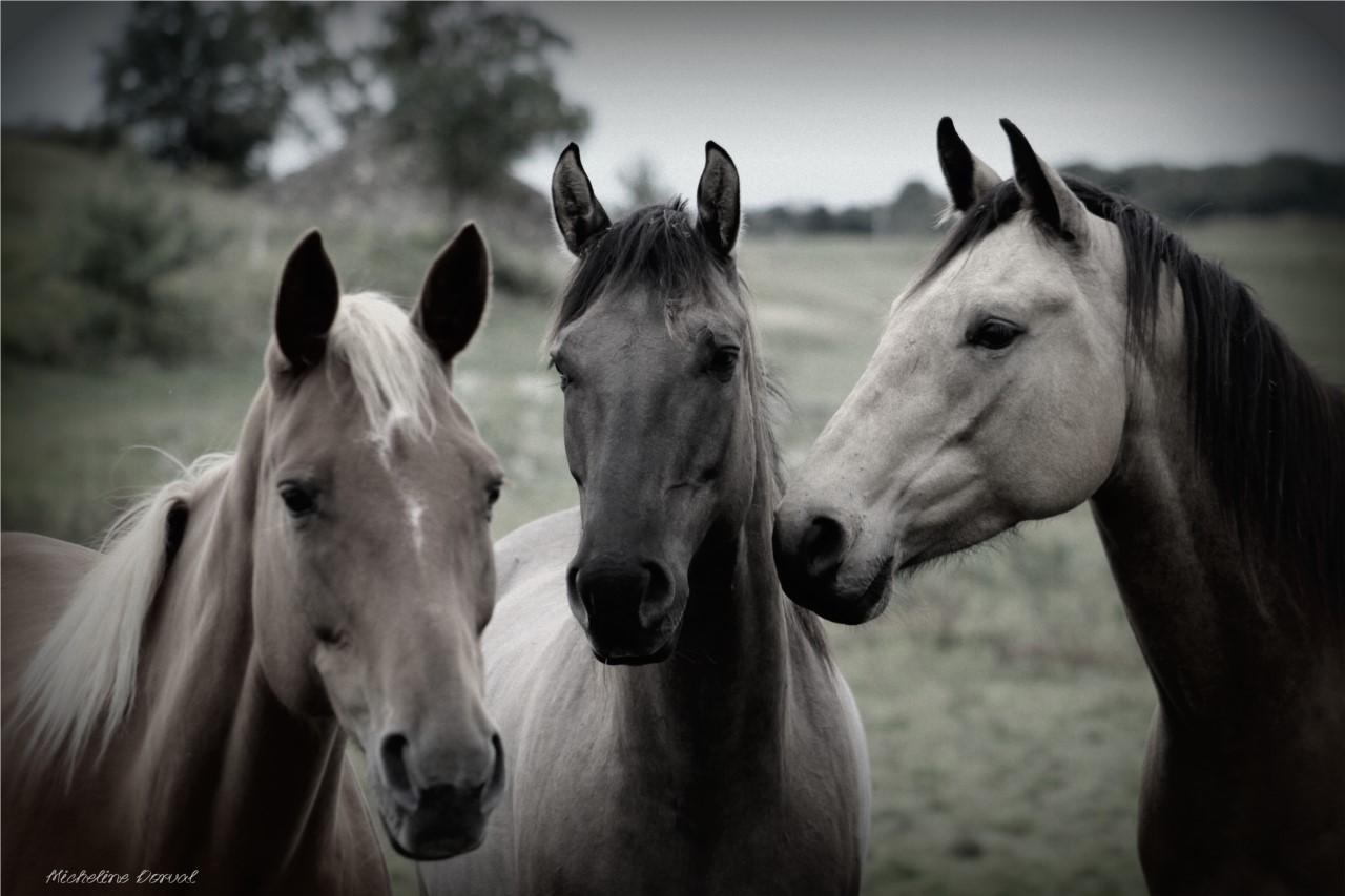 Tout le bonheur est dans l'inattendu
