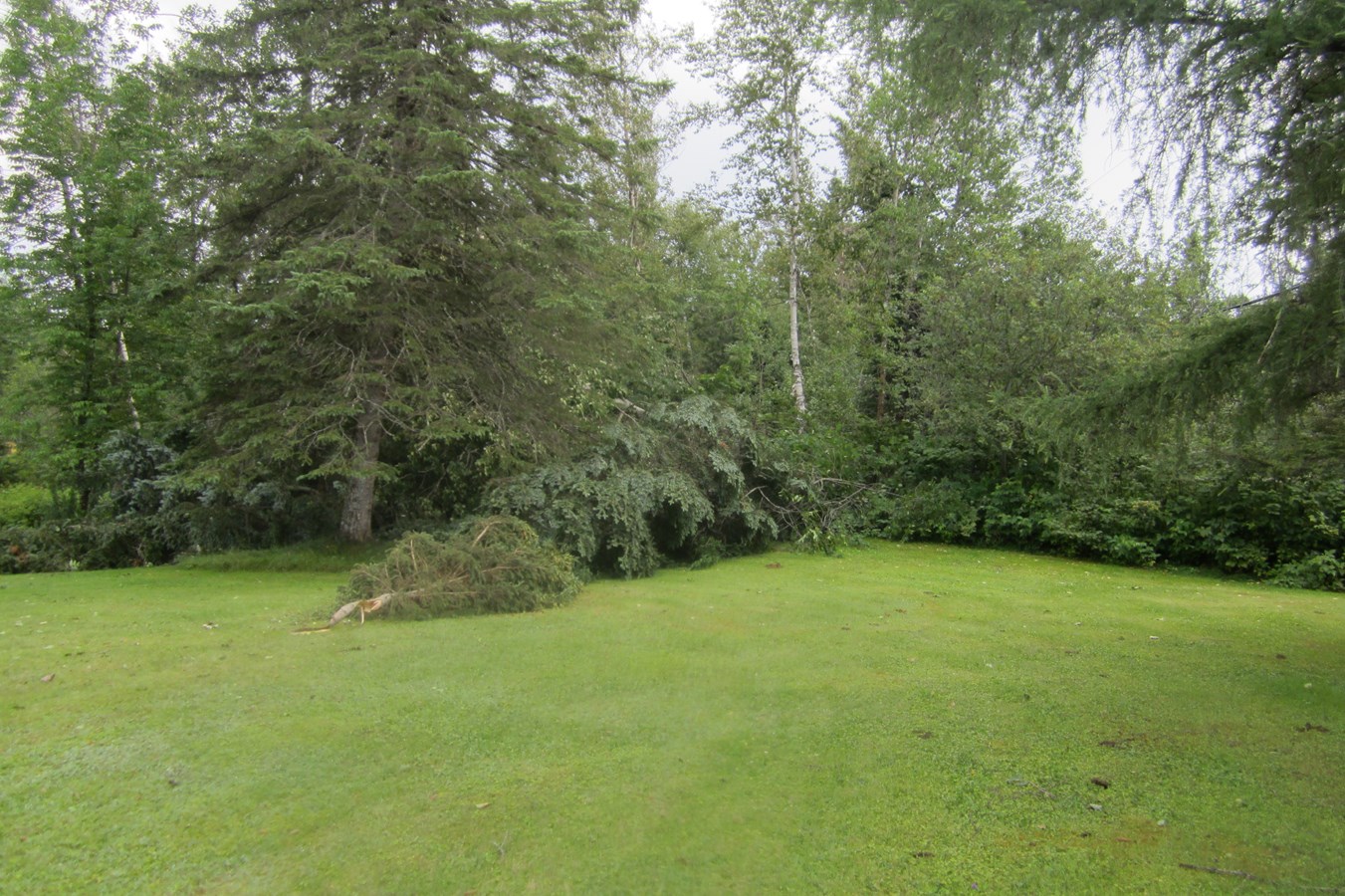 tornade,,,,,,,,,,,,,,