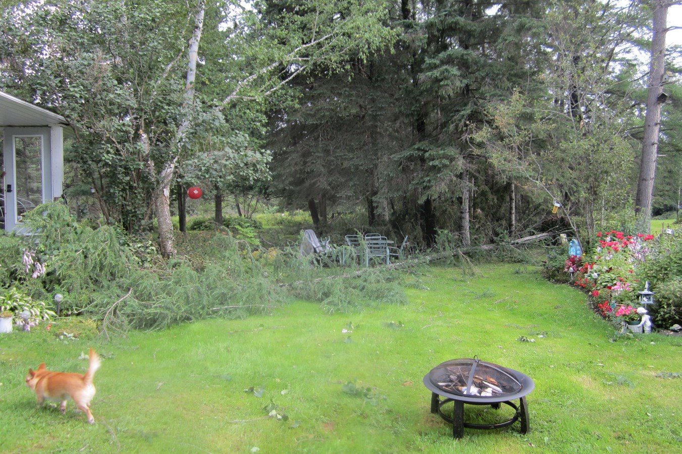 tornade,,,,,,,,,,,,,,