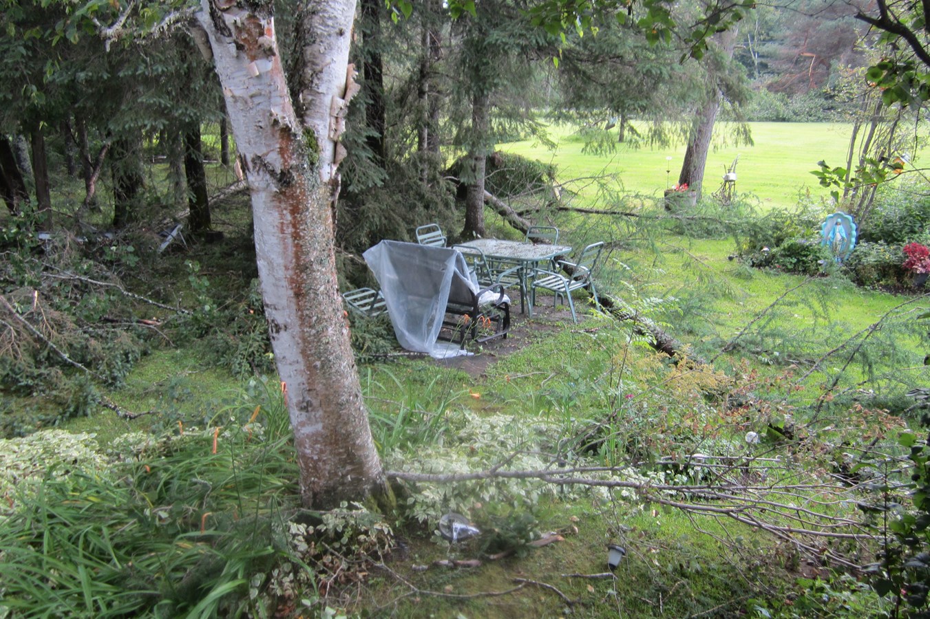 tornade,,,,,,,,,,,,,,