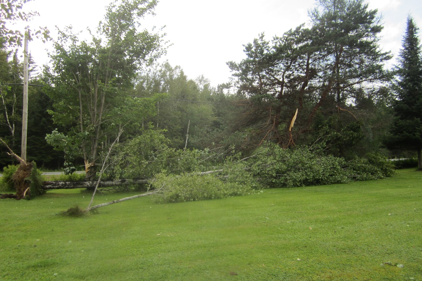 tornade,,,,,,,,,,,,,,