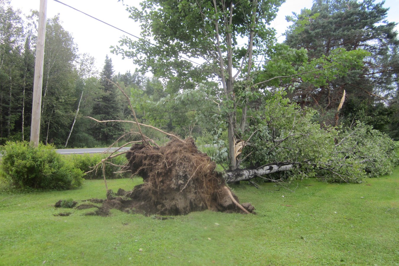 tornade,,,,,,,,,,,,,,