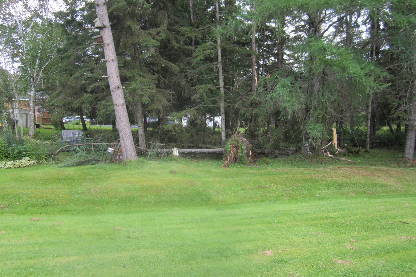 tornade,,,,,,,,,,,,,,