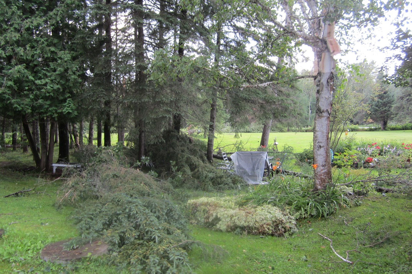 tornade,,,,,,,,,,,,,,