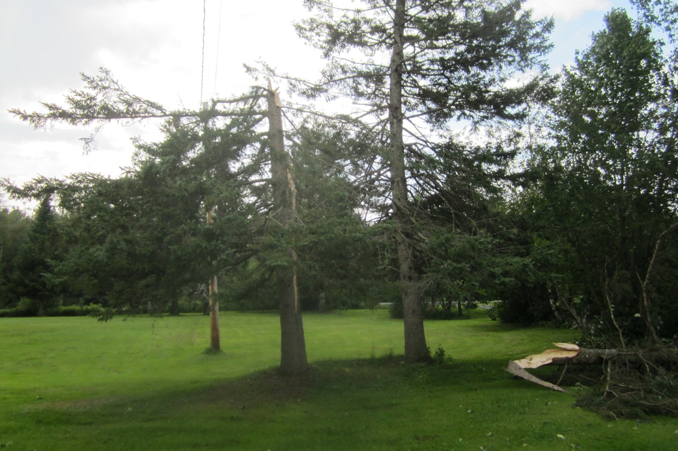 tornade,,,,,,,,,,,,,,