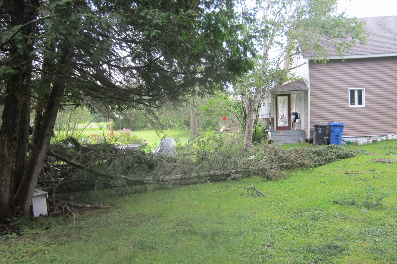 tornade,,,,,,,,,,,,,,