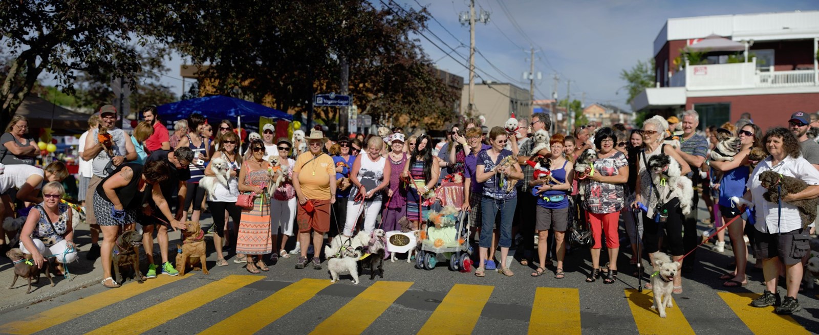 Parade des Poilus, le départ!