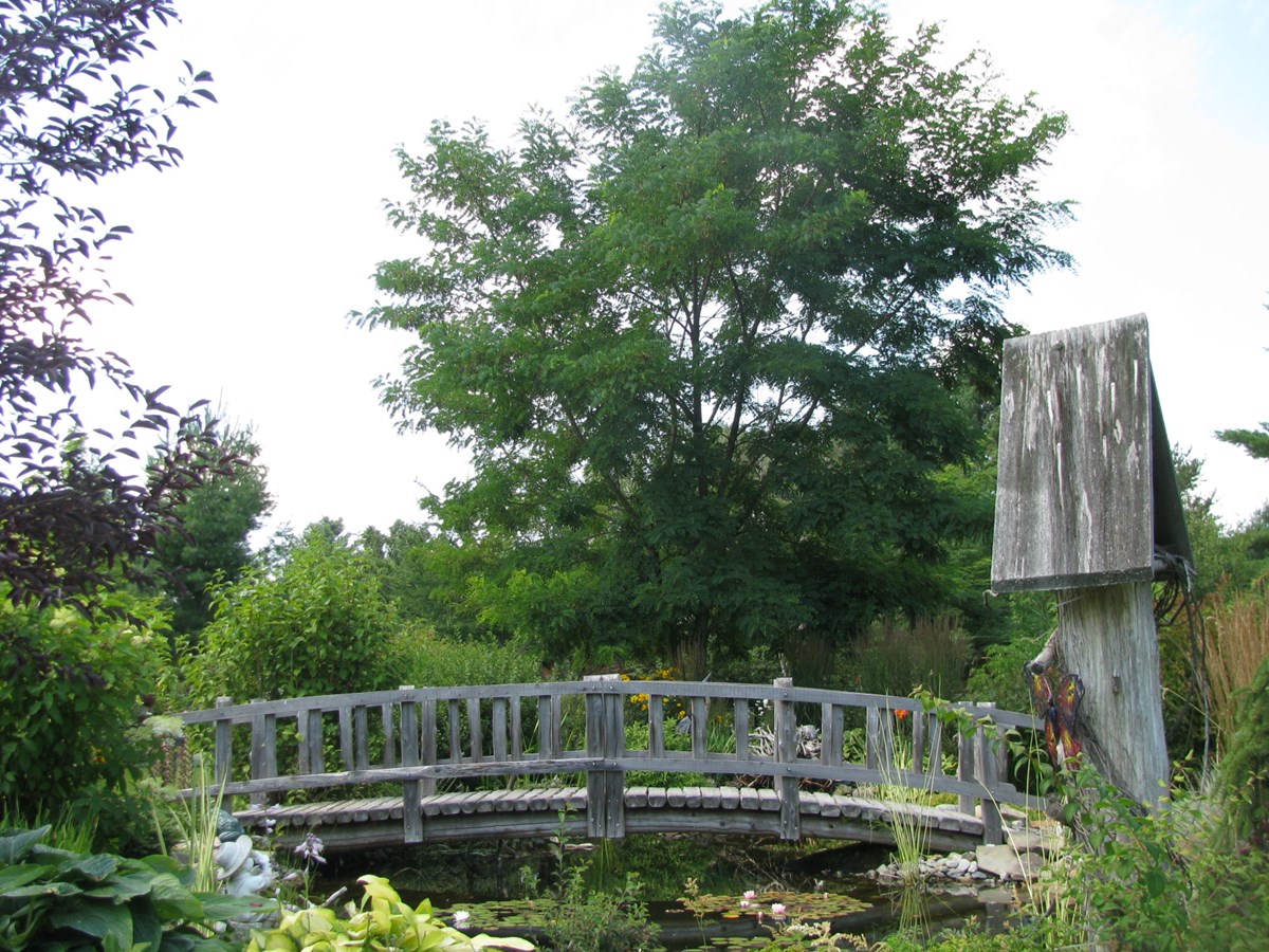 jardin du petit bonheur